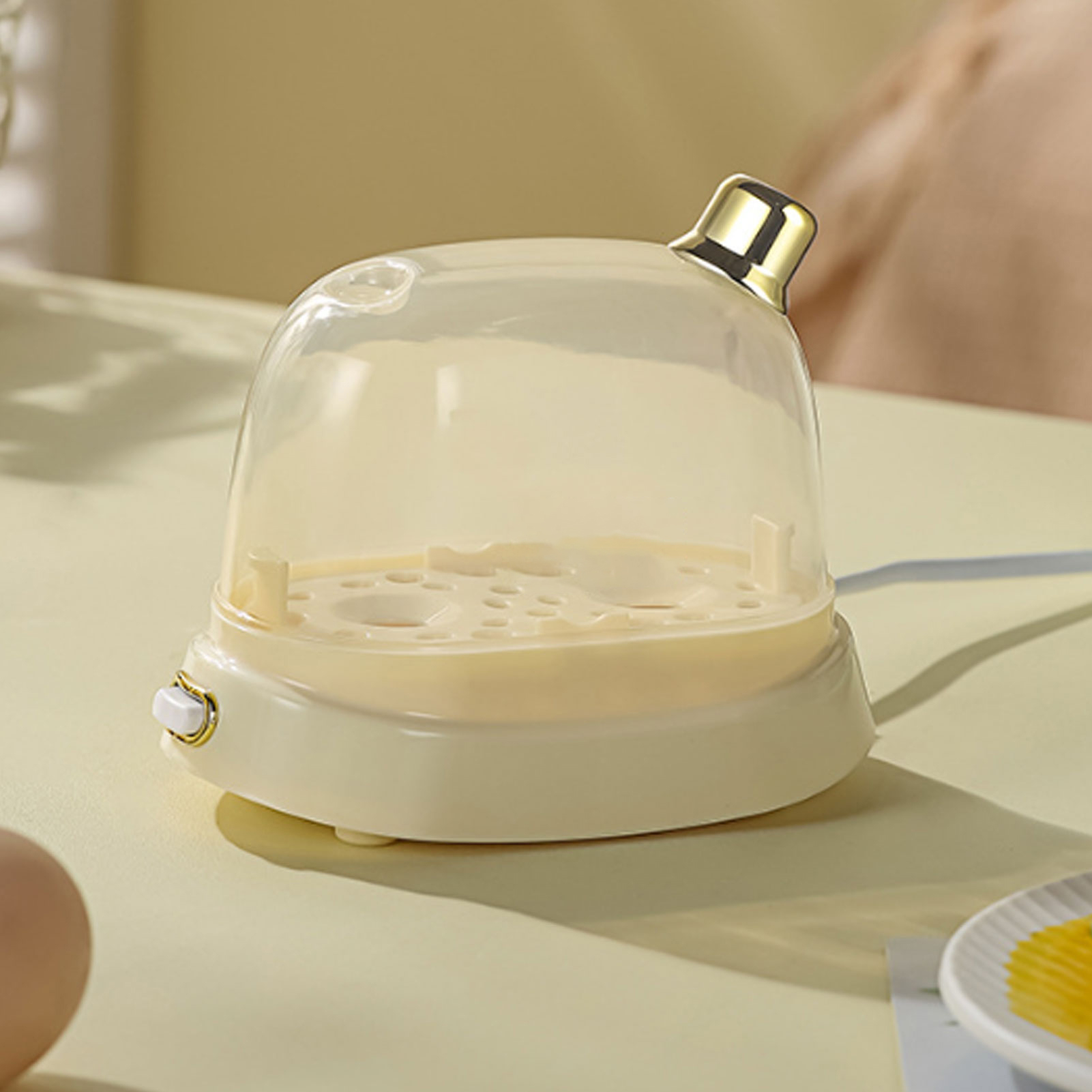 Rapid Egg Cooker 2 Egg Capacit - Egg Cooker Rapid 评论和价格